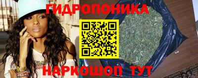 молекула духа Нальчик