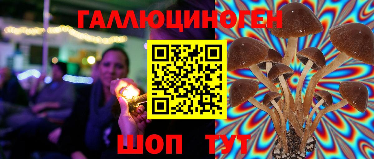 Выкса  Галлюциногенные грибы Magic Shrooms  Вход с VPN 